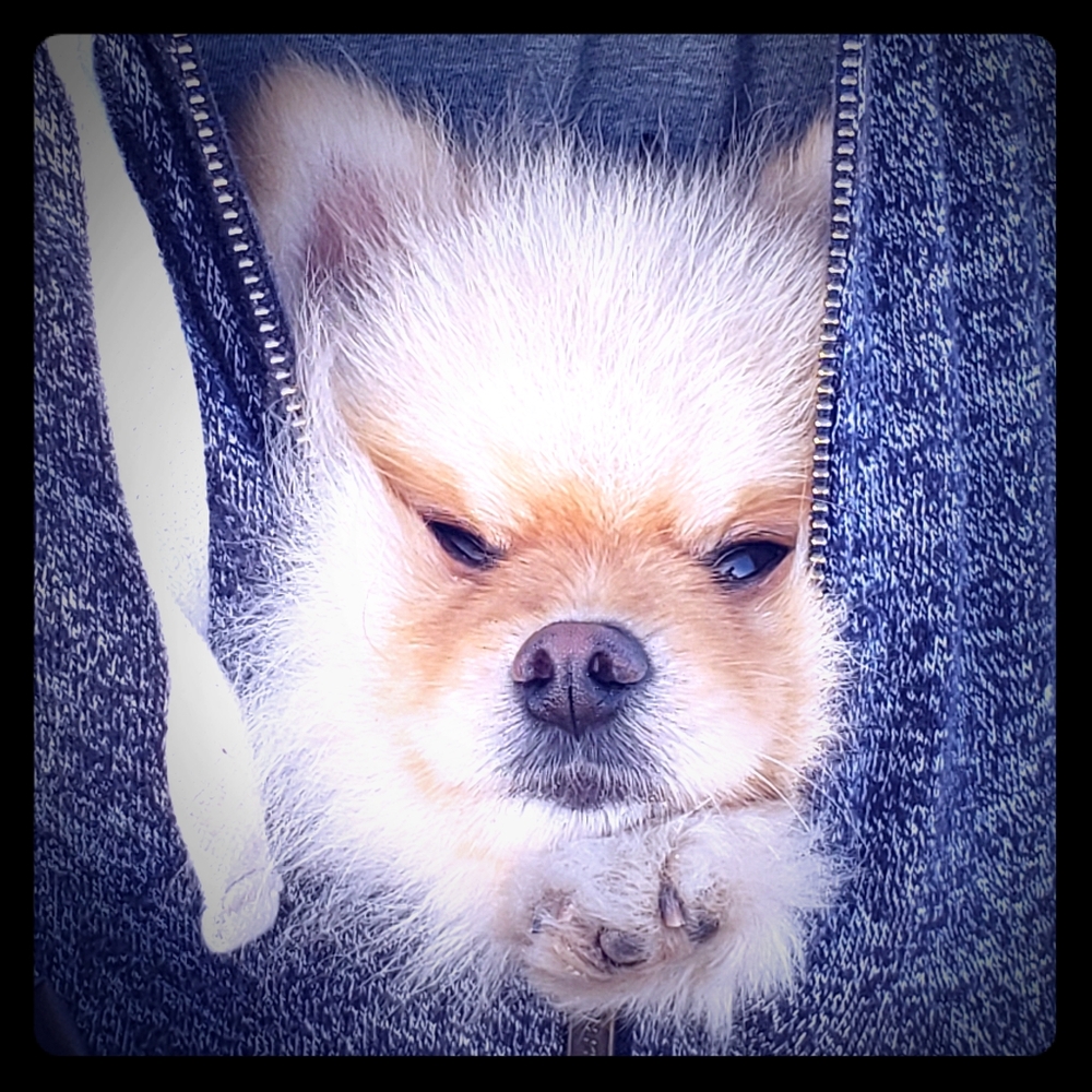 Variety of beauty and household items